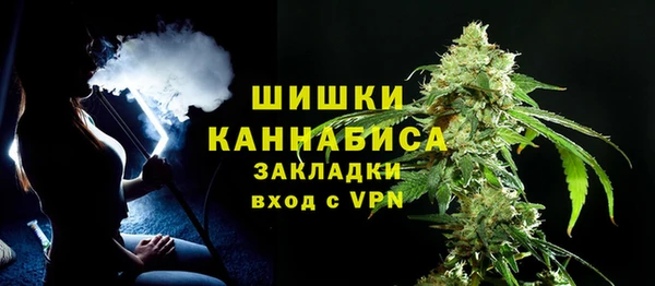 сатива Нефтекумск