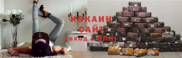 сатива Нефтекумск