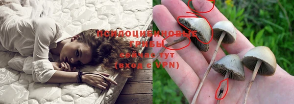 альфа пвп Усмань