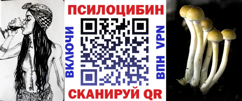 Псилоцибиновые грибы Psilocybe  где найти наркотики  мега маркетплейс  Ялуторовск 